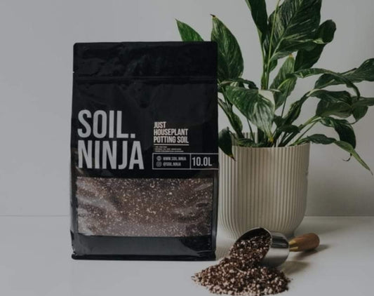 Soil Ninja Houseplant Soil