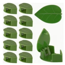Climbing Plants Wall Fixture - Pack of 10