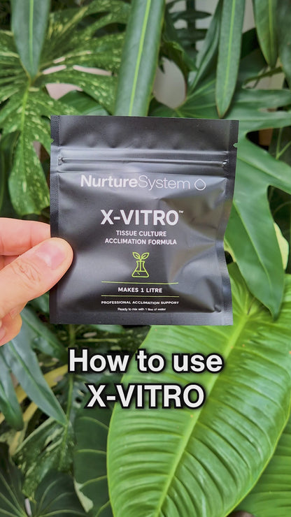 NurtureSystem X-Vitro™ – Tissue Culture Acclimation Solution