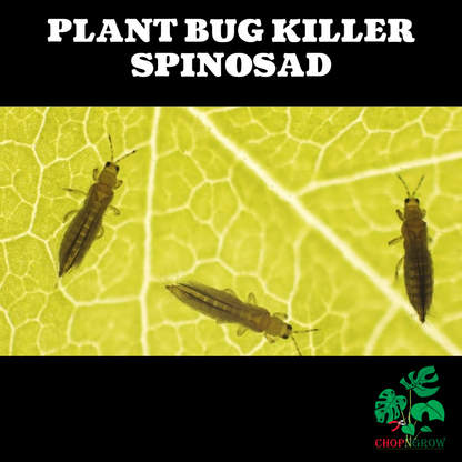 Spinosad plant bug killer for indoor and outdoor use - various sizes