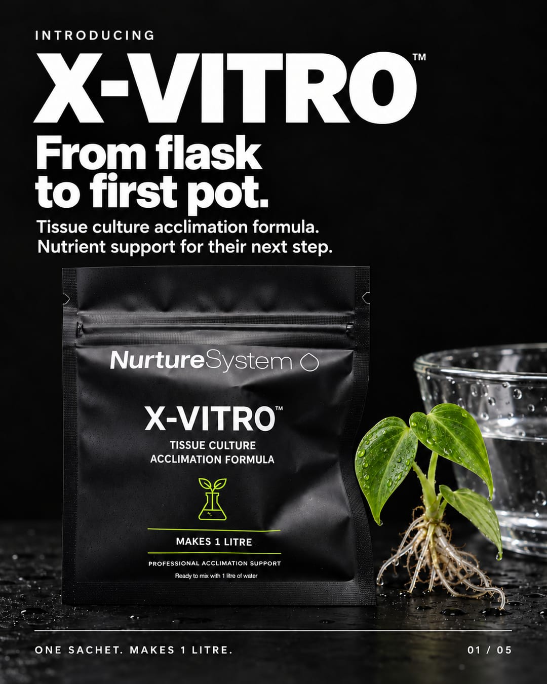 NurtureSystem X-Vitro™ – Tissue Culture Acclimation Solution