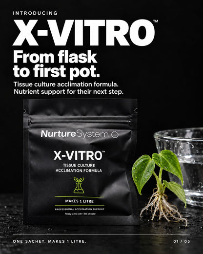 NurtureSystem X-Vitro™ – Tissue Culture Acclimation Solution