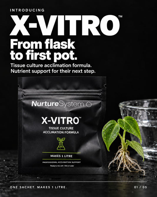 NurtureSystem X-Vitro™ – Tissue Culture Acclimation Solution