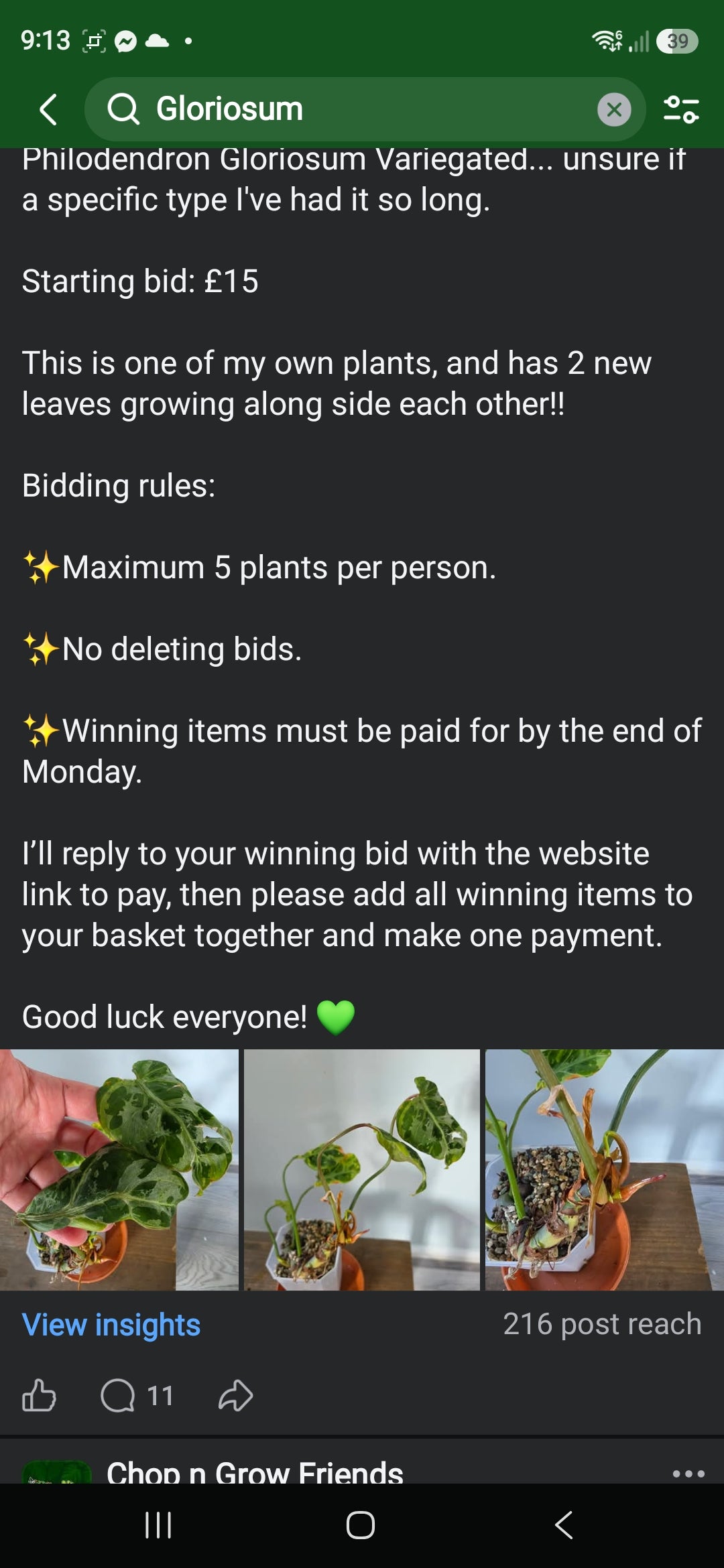 Sunday CnG Sale - Dionne Gloriosum