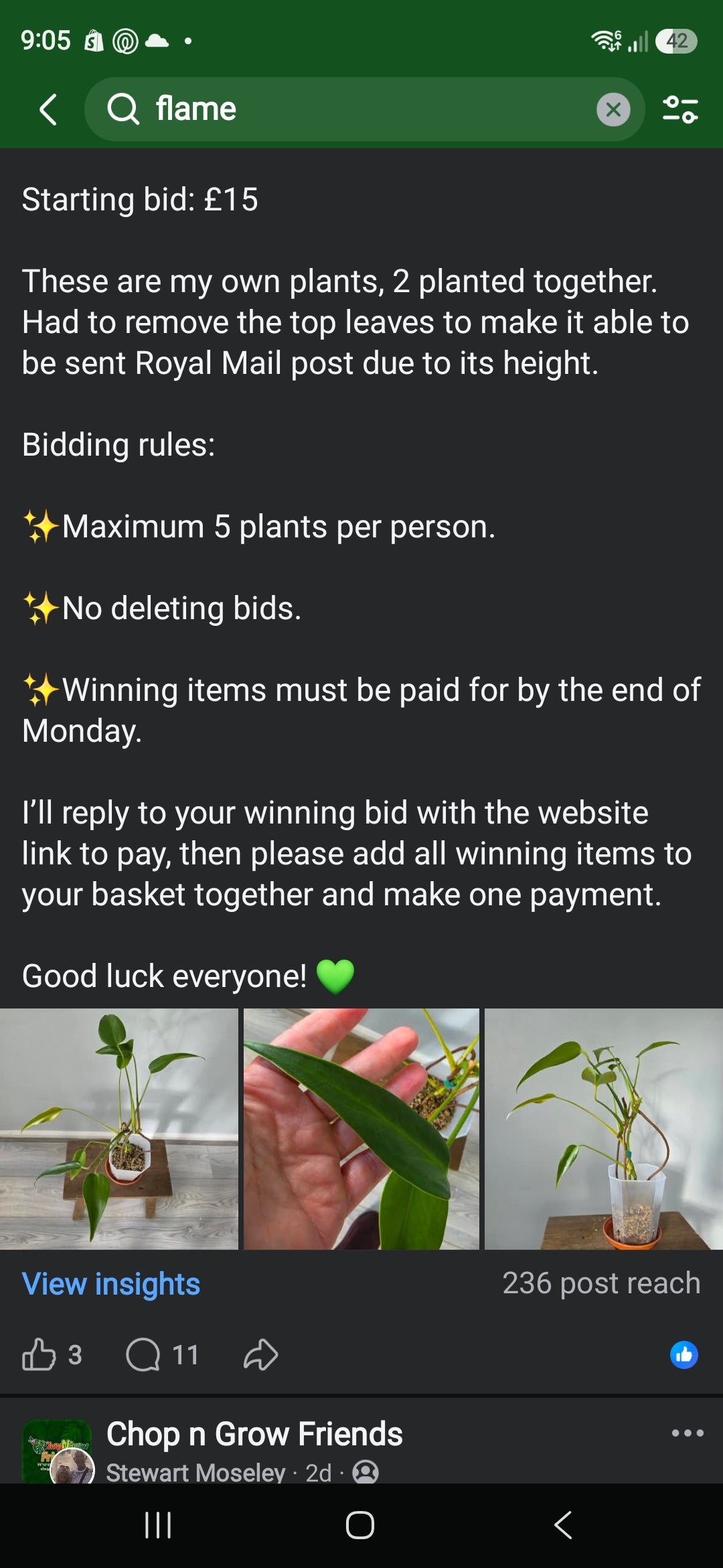 Sunday CnG Sale - Gemma A BM Flame