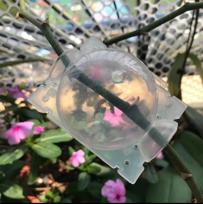 Clear Plastic Plant Rooting Ball - various sizes