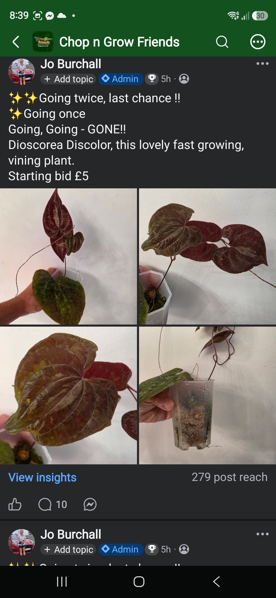 Sunday CnG Sale - Kiki Discolor