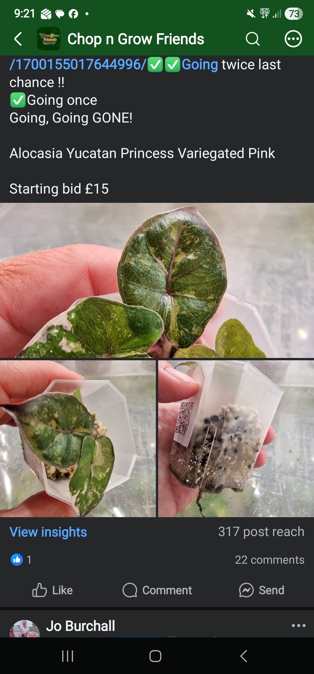 Chop n Grow Friends sale - James Yucatan