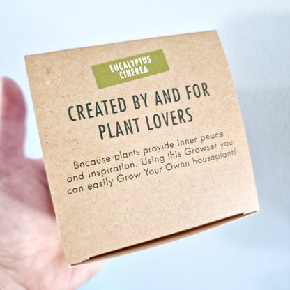 Grow your own Aloe Vera - Houseplant Set