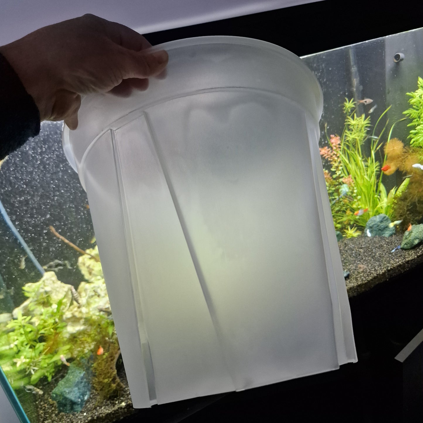 Round Plastic Semi Transparent Plant Pots all sizes