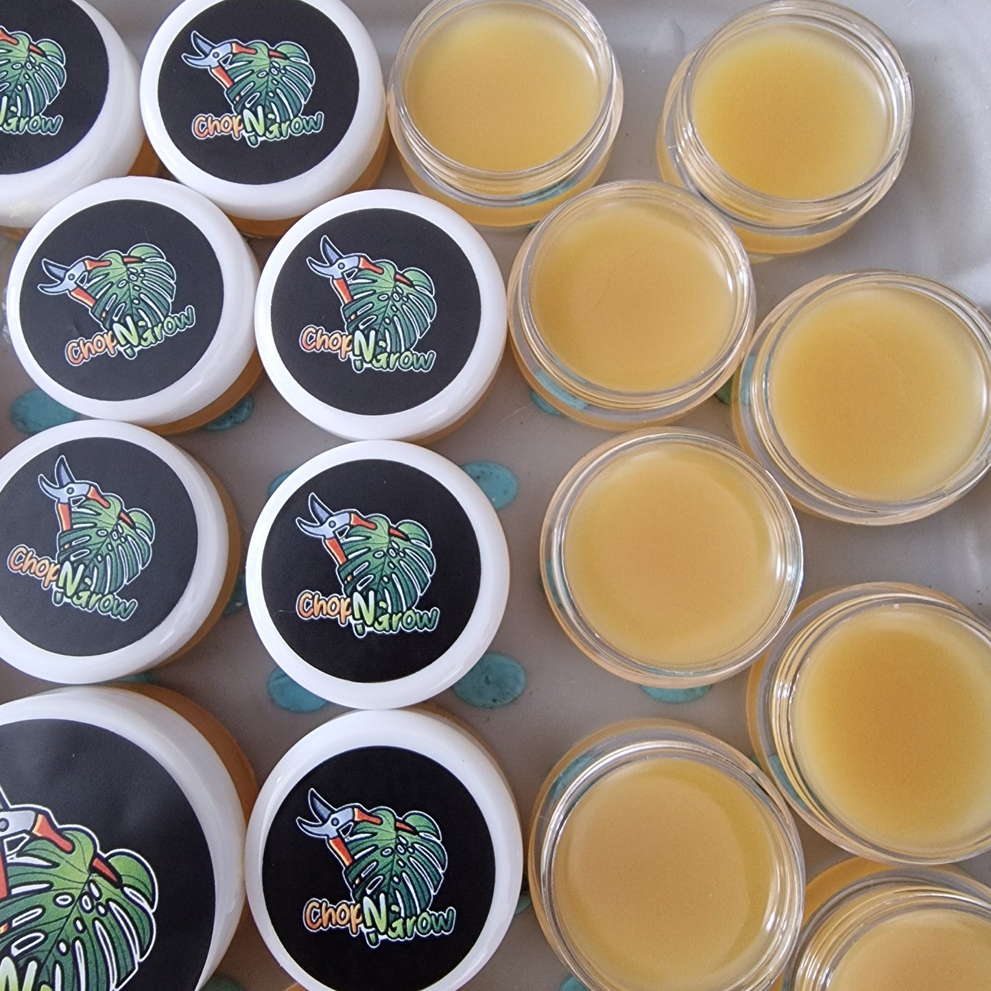 Keiki Cloning Paste 5ml and 10ml