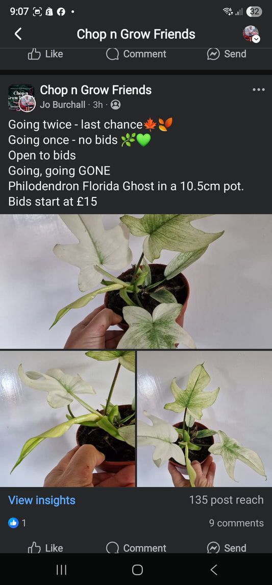 Sunday Sale Scott Ghost