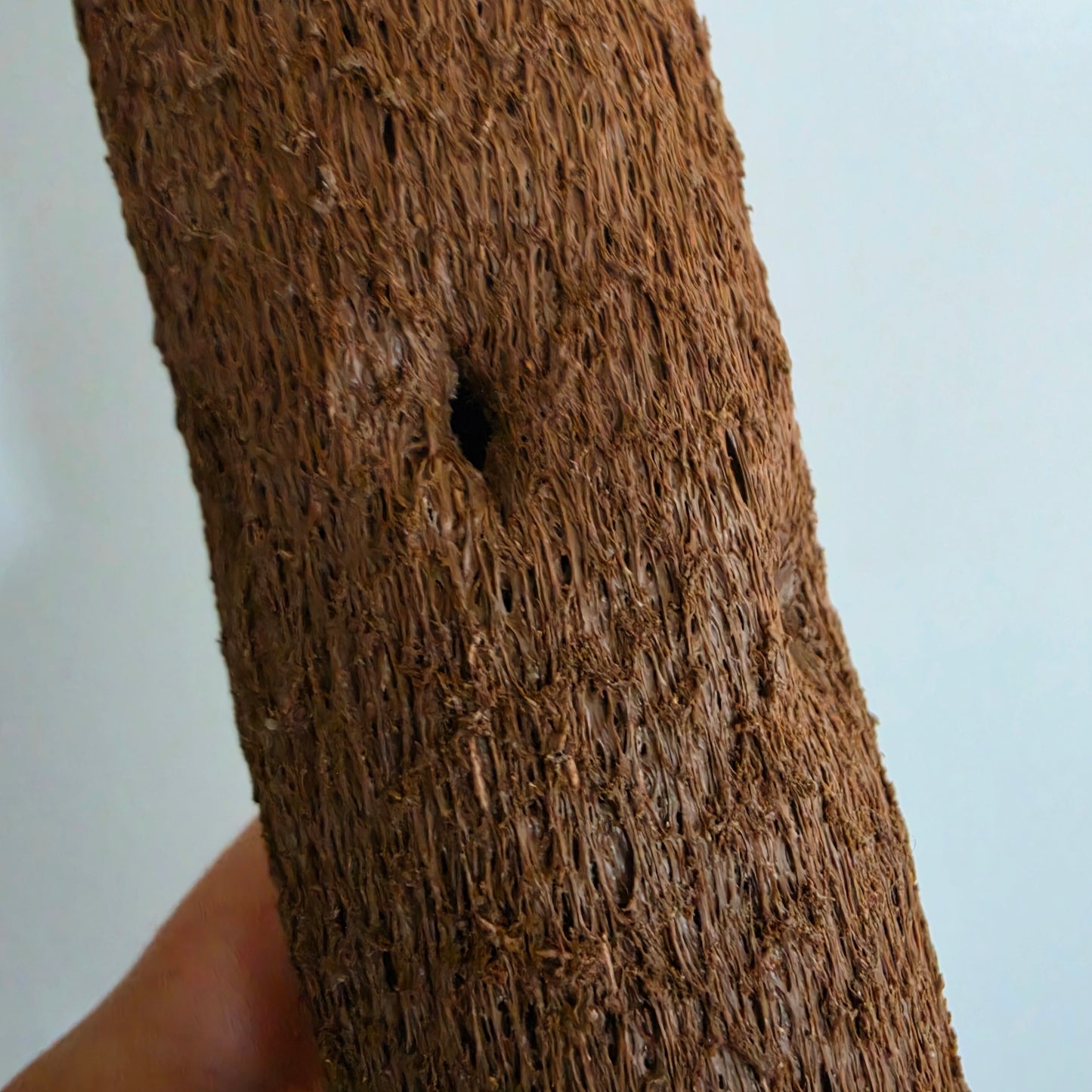 Kratiste Biobased Bark Effect 45cm x 4cm Climbing Pole and 15 clips (no connector)