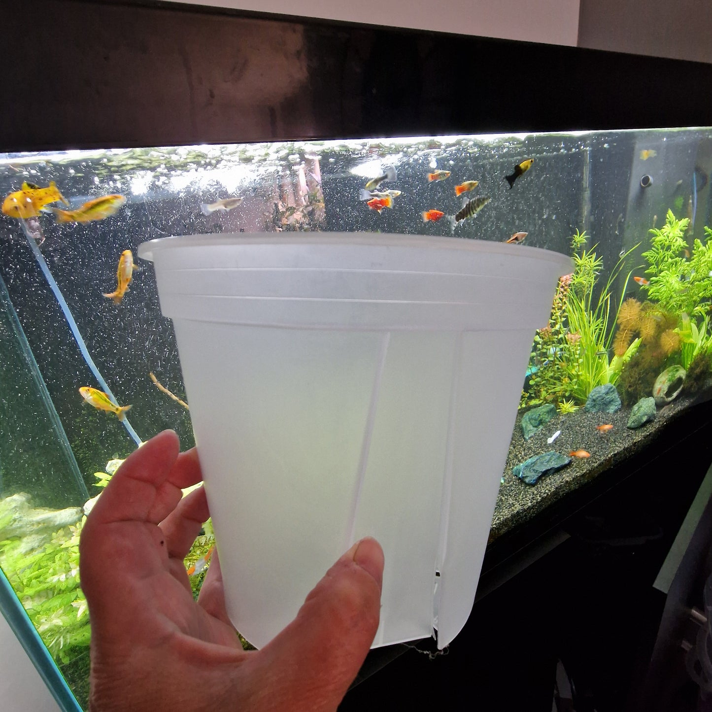 Round Plastic Semi Transparent Plant Pots all sizes
