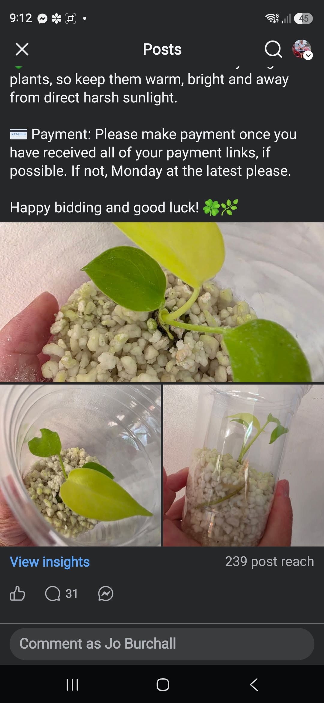 Sunday CnG Sale - Sam Lemon / Lime