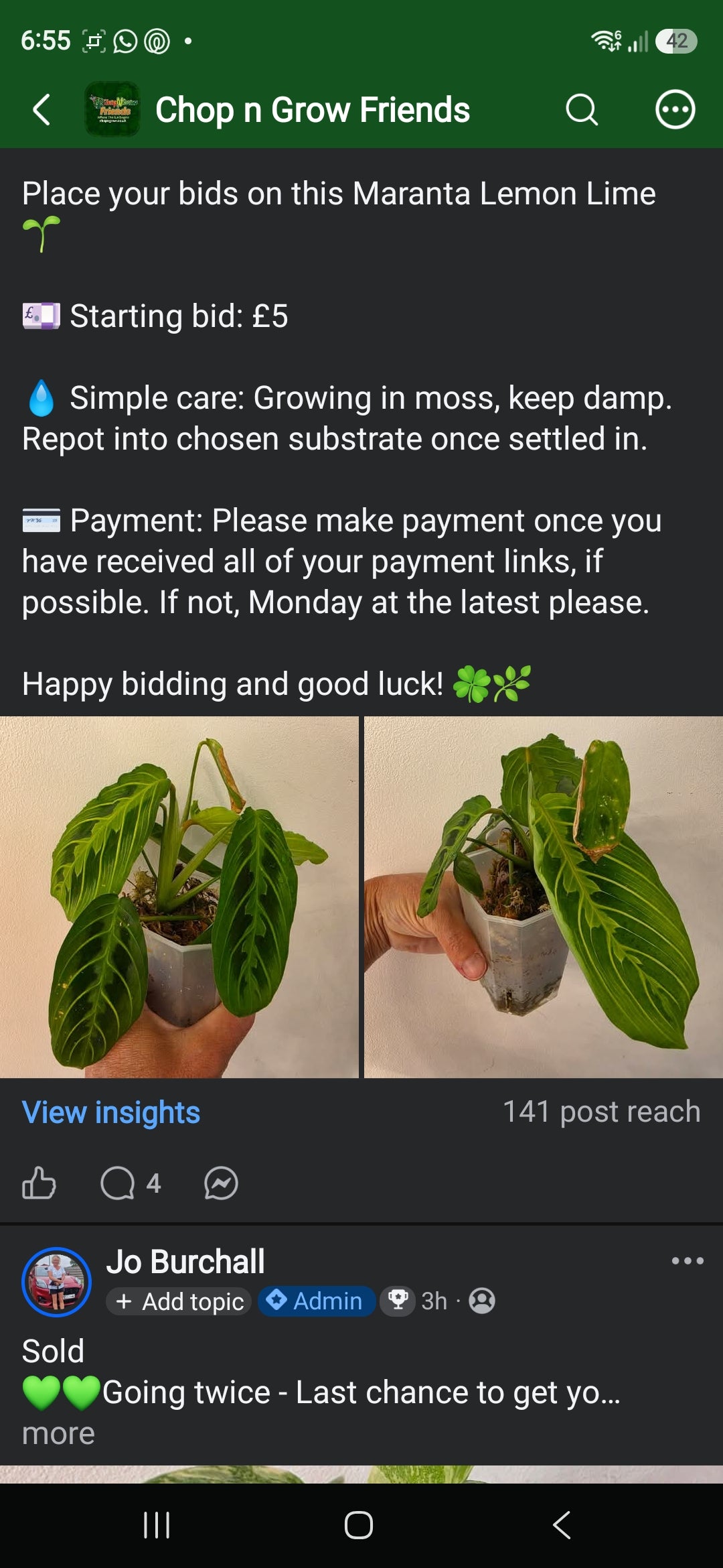 Sunday CnG Sale - Rocco Maranta