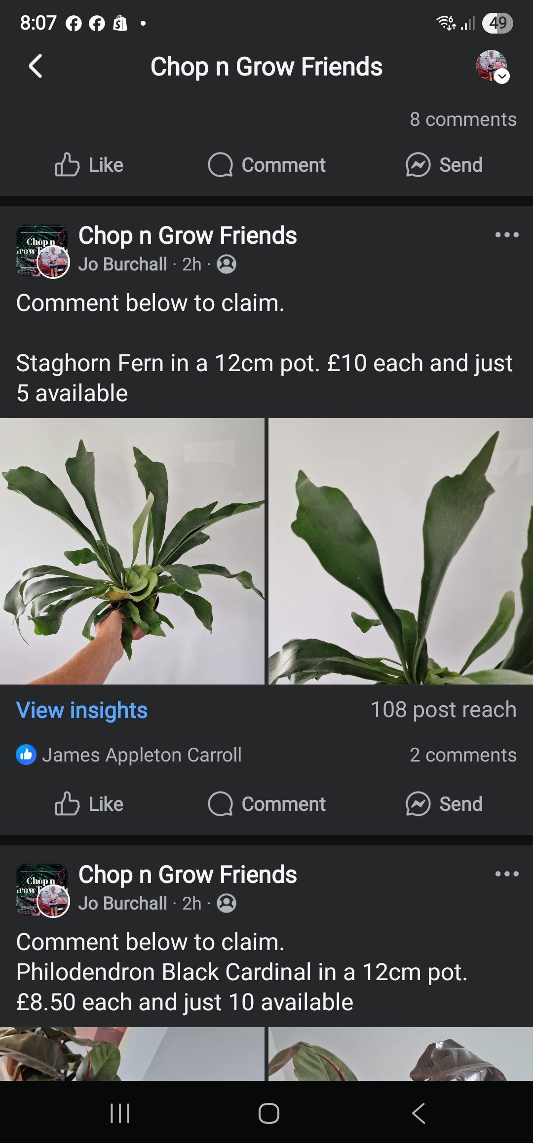 Sunday Sale Heather - Staghorn