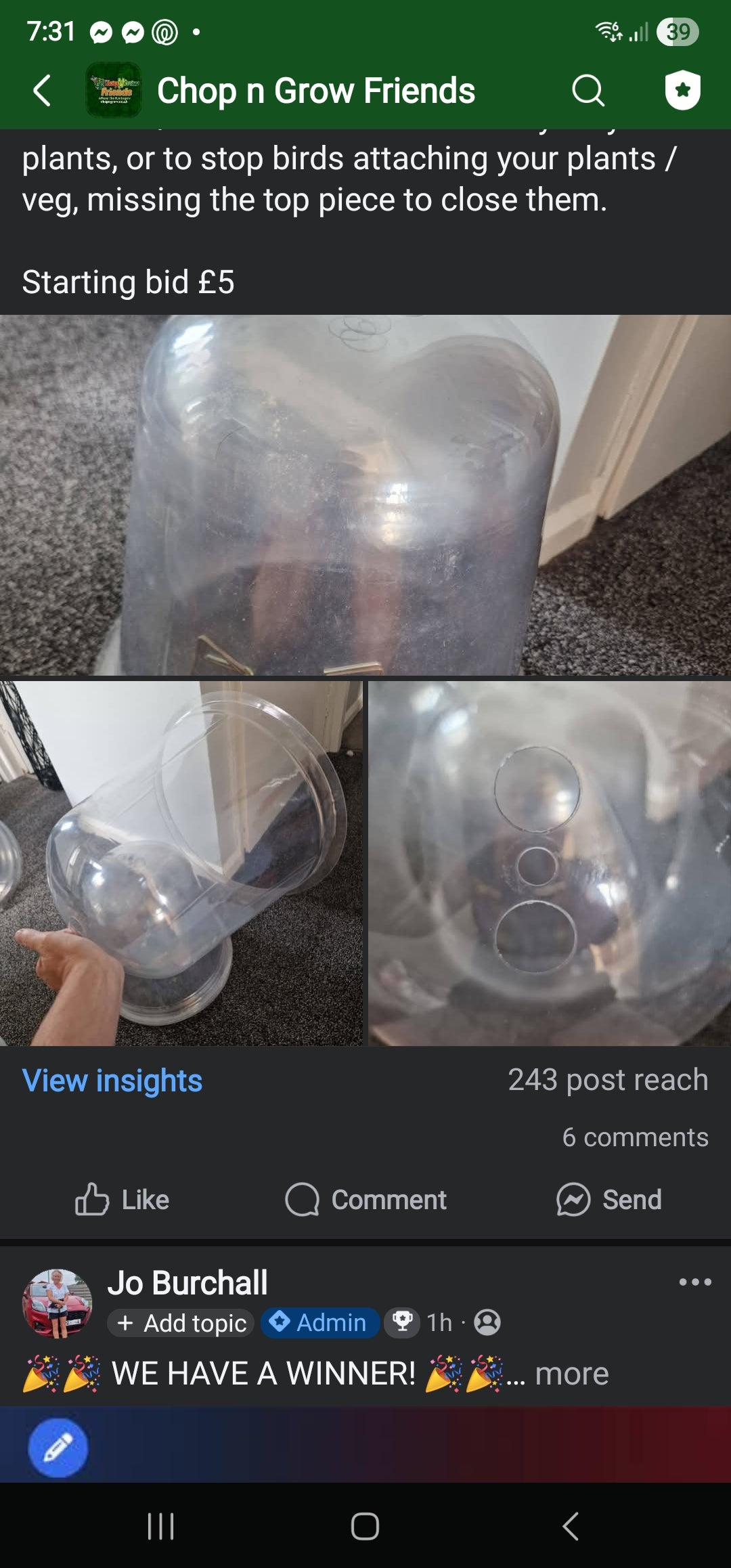 Sunday Sale - Autumn Dome