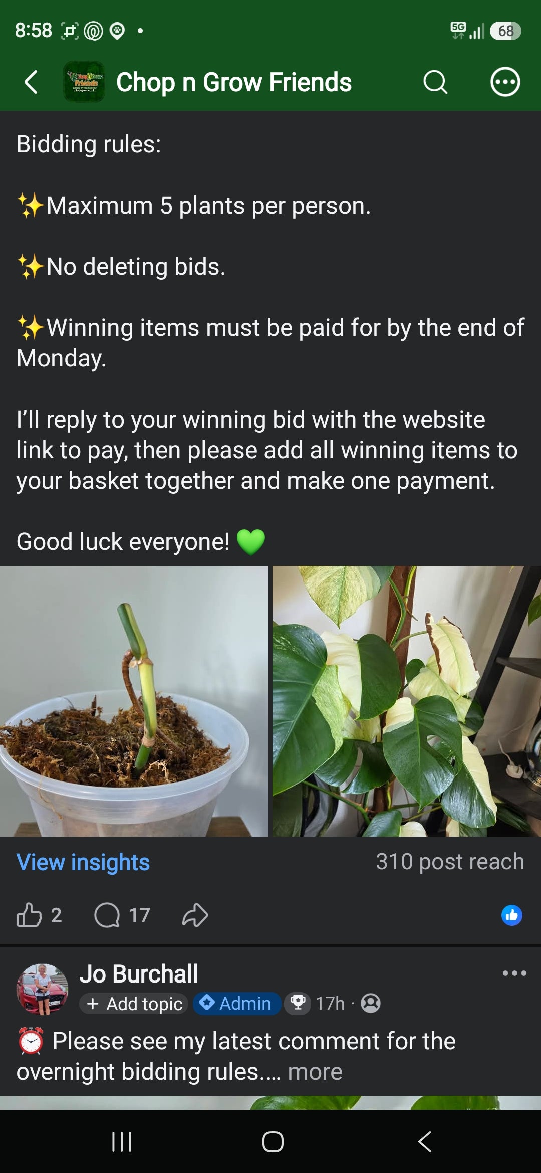 Sunday CnG Sale - Rebecca Monstera