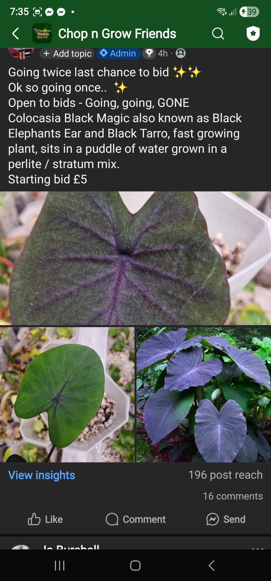Sunday Sale - Autumn Black Magic