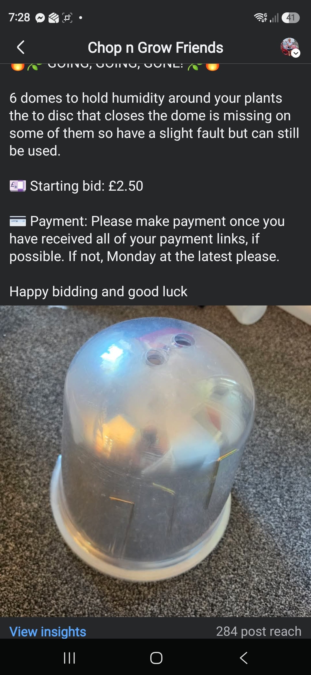 Sunday CnG Sale - Katarzyna Domes