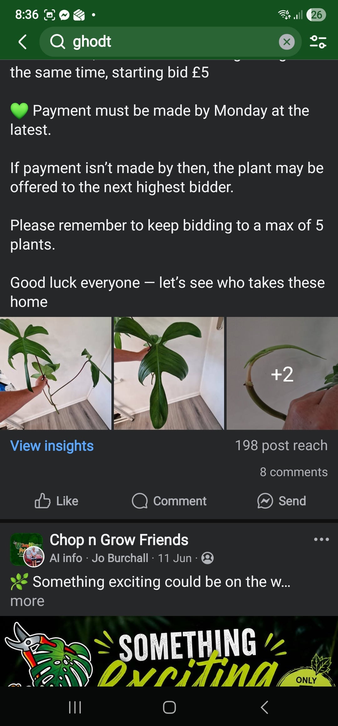 Sunday Sale - Sandie Rev Ghost