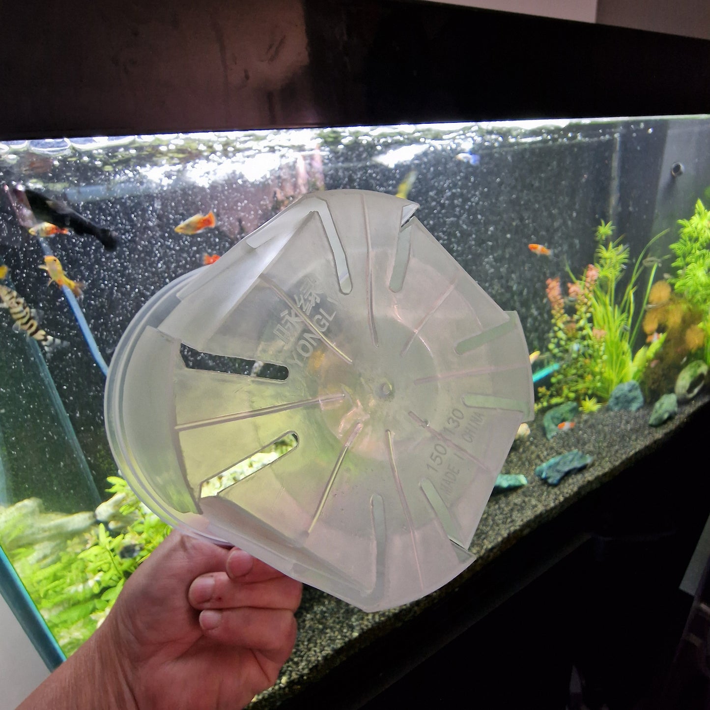 Round Plastic Semi Transparent Plant Pots all sizes