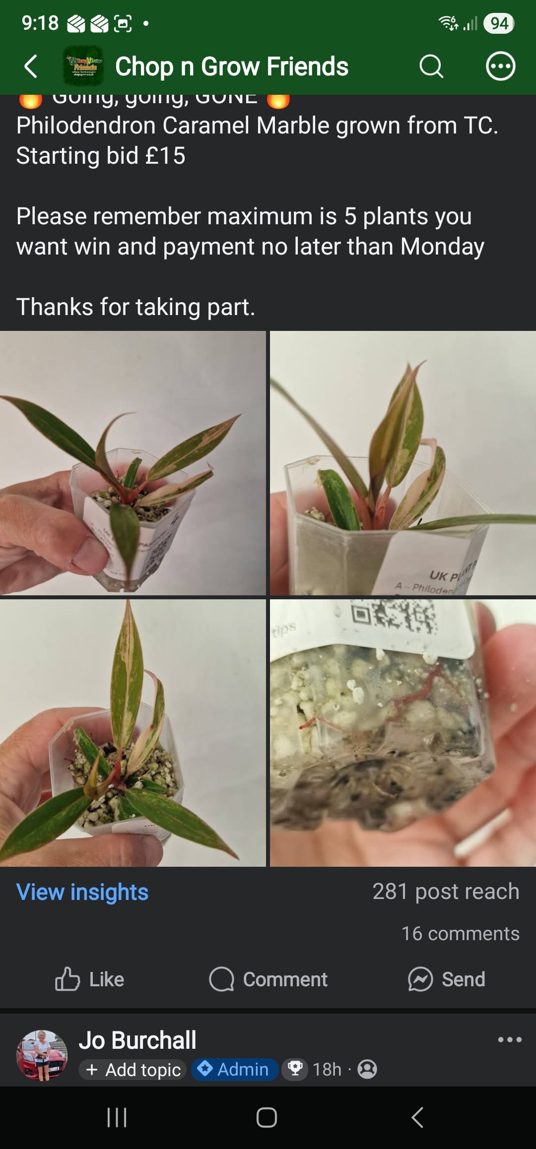 Chop n Grow Friends sale - Rebecca Caramel Marble