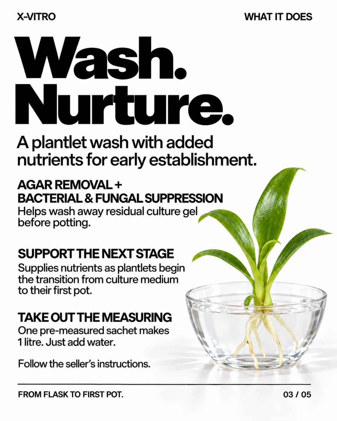 NurtureSystem X-Vitro™ – Tissue Culture Acclimation Solution