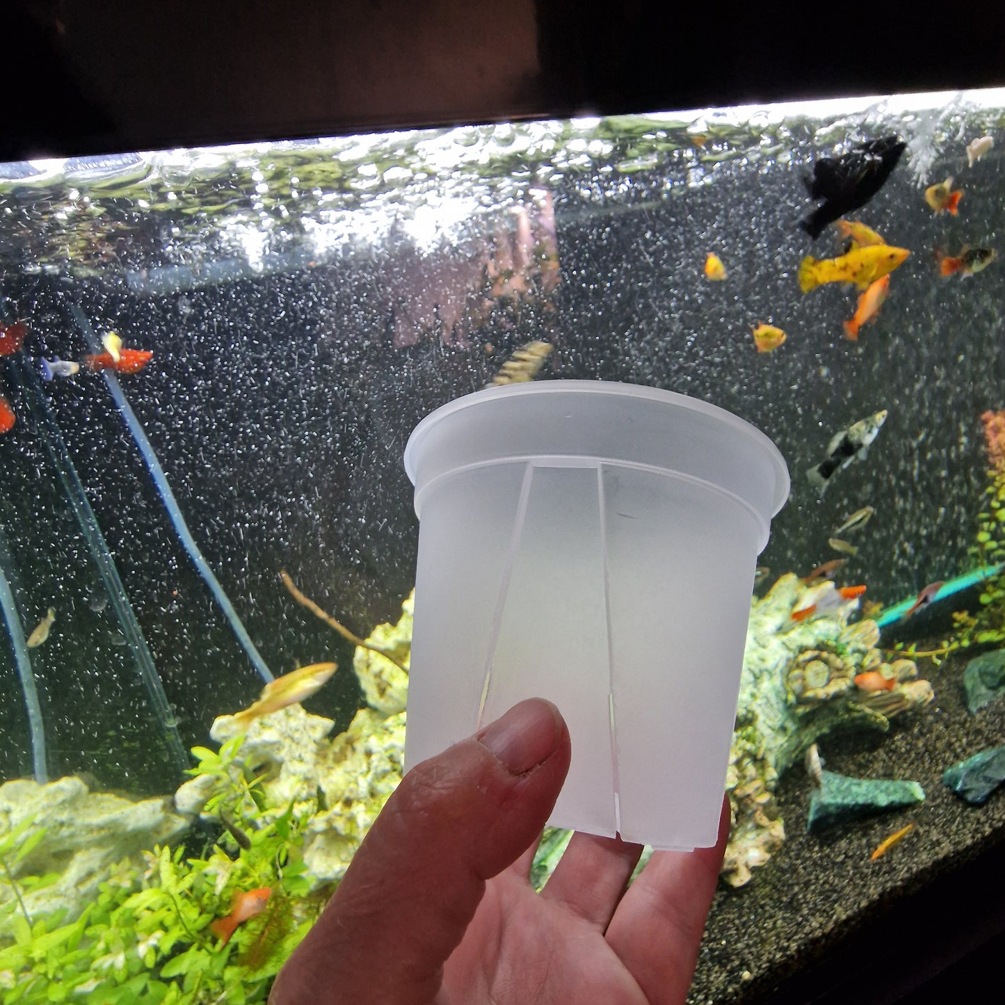 Round Plastic Semi Transparent Plant Pots all sizes