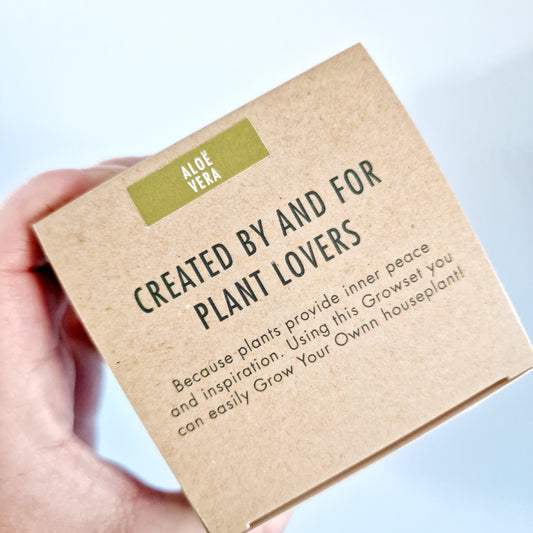 Grow your own Aloe Vera - Houseplant Set