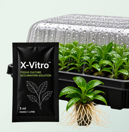NurtureSystem X-Vitro™ – Tissue Culture Acclimation Solution