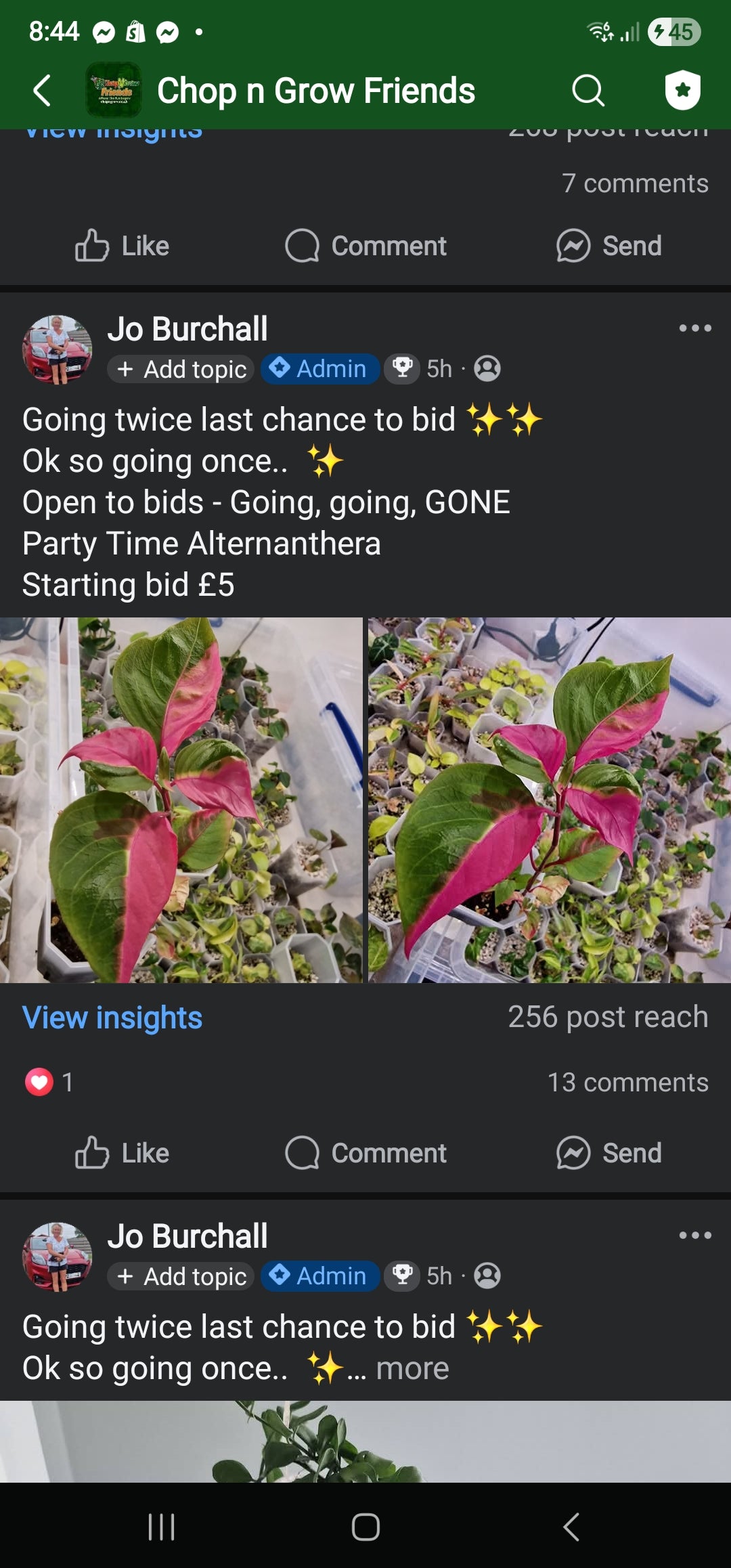 Sunday Sale - Karen Party Time