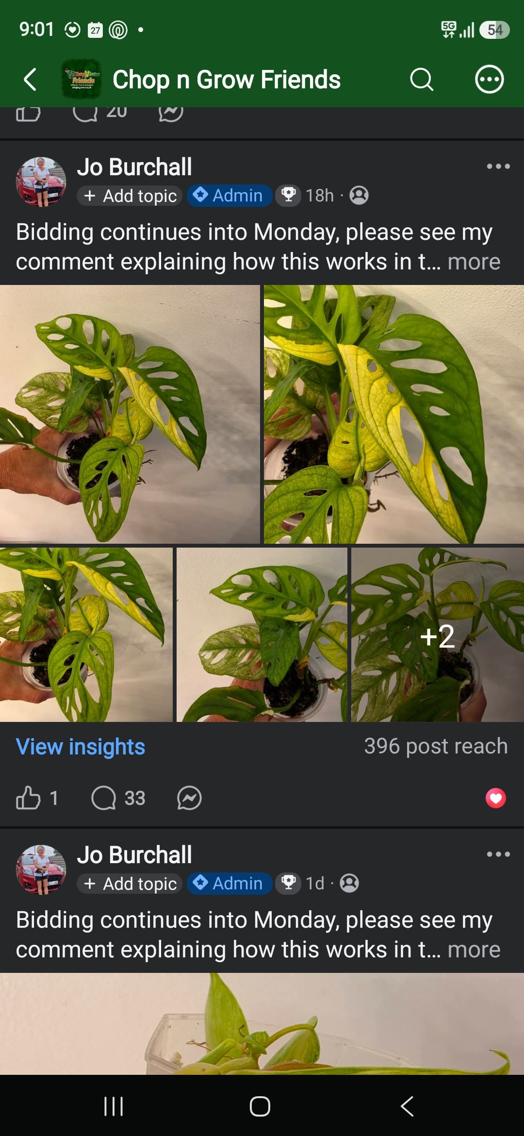 Sunday CnG Sale - Bryan Adansonii Aurea