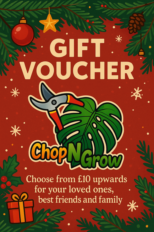 Christmas Gift Voucher 🎁