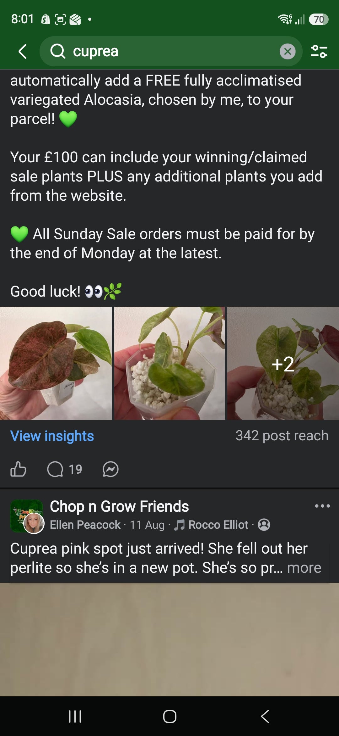 Sunday CnG Sale - Aaron Cuprea