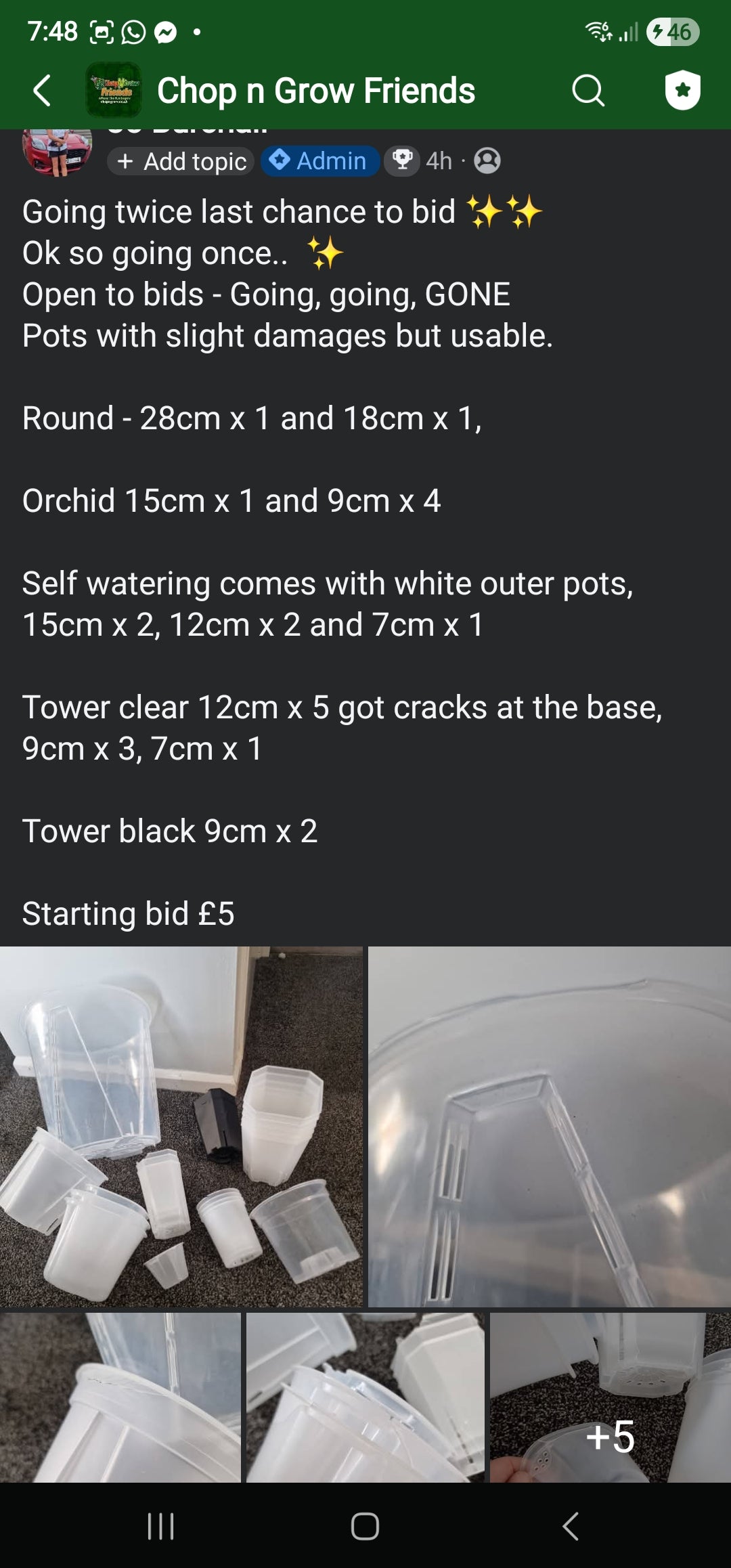 Sunday Sale - Lee pots