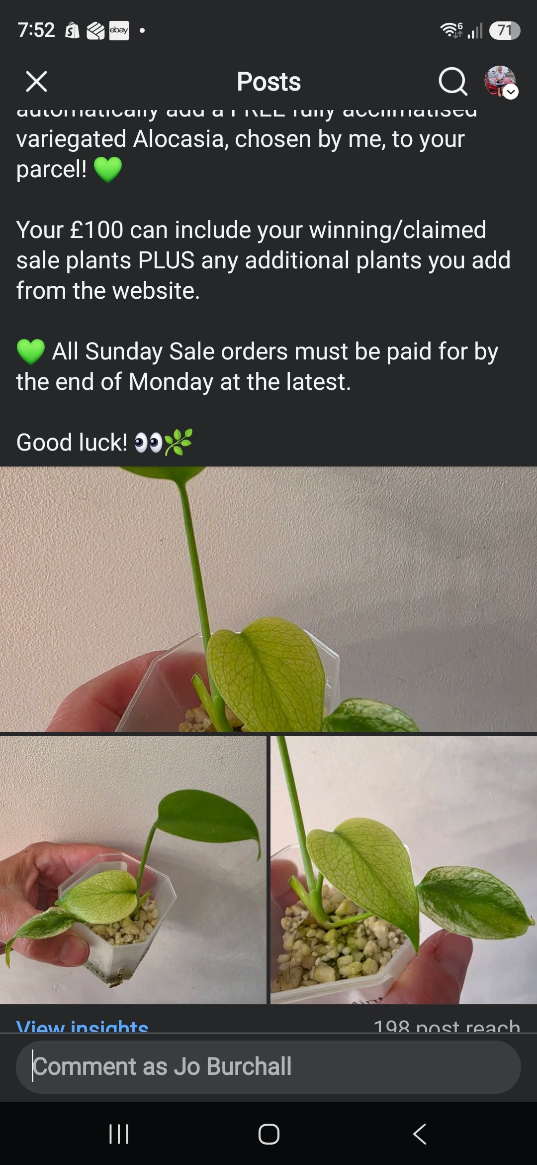 Sunday CnG Sale - Karen P usa mint