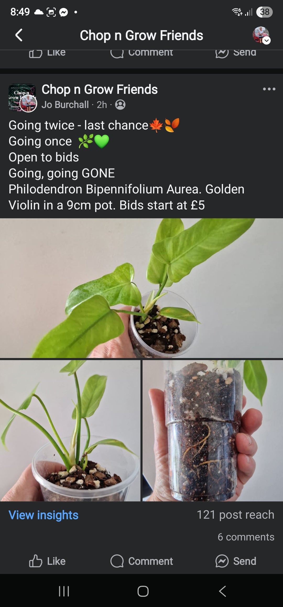 Sunday Sale Jay Violin