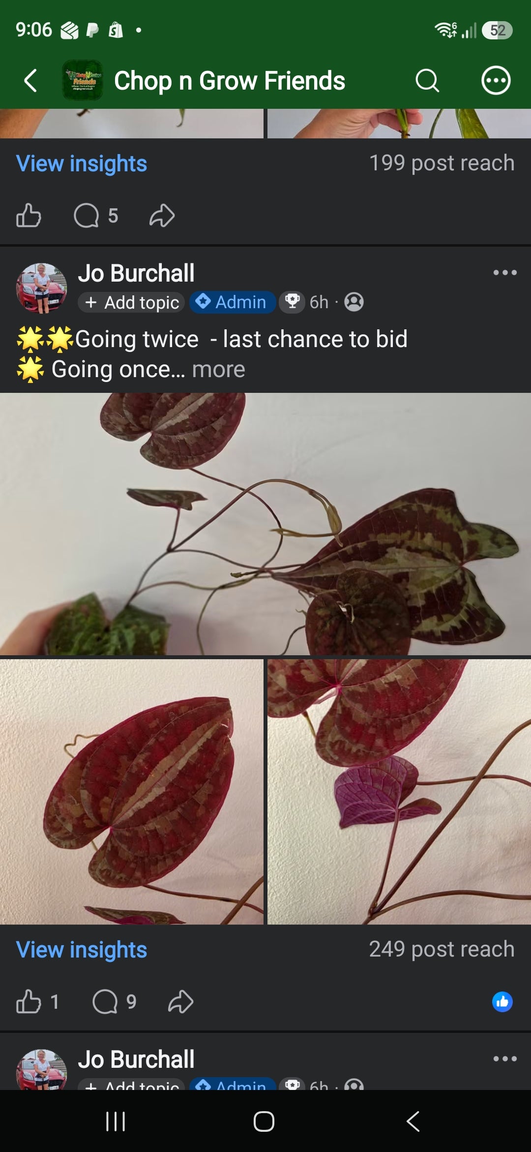 Sunday CnG Sale - Rye Discolor