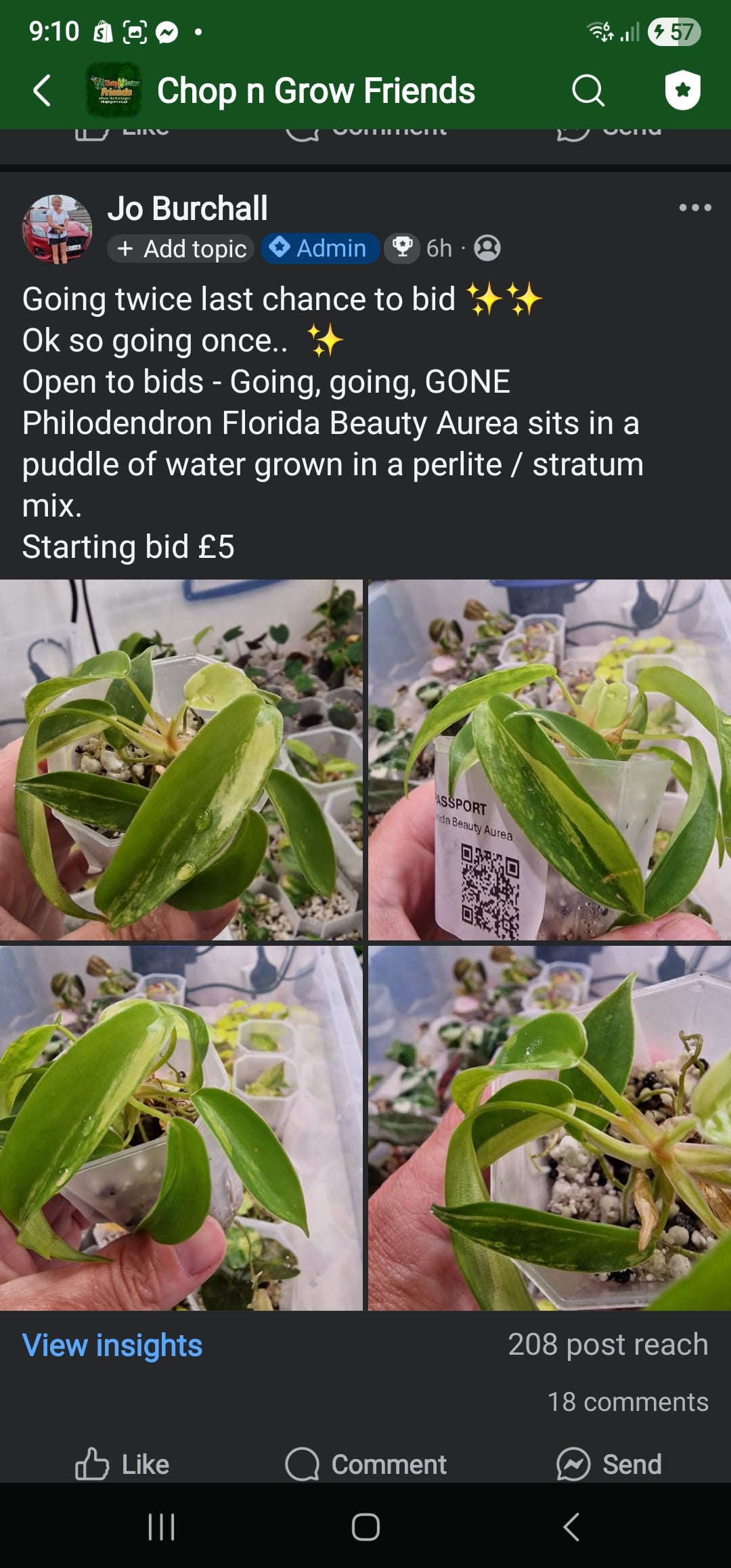 Sunday Sale - Clochel Florida Beauty