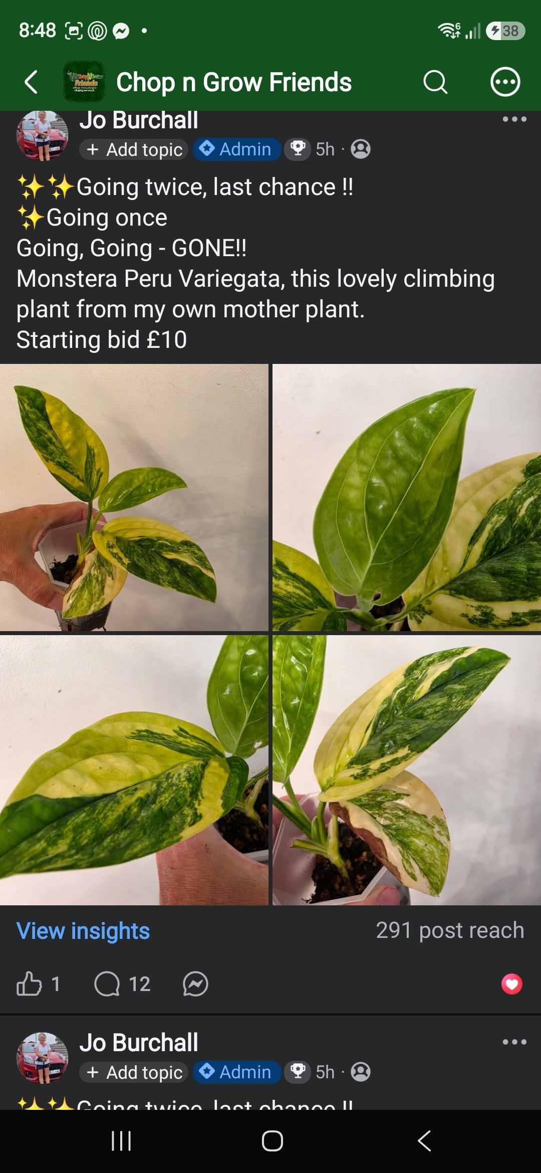 Sunday CnG Sale - Emily Peru
