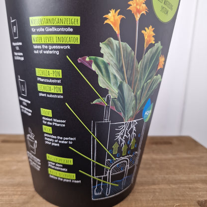 Lechuza Deltini All in One Self Watering Pot Charcoal Metalic