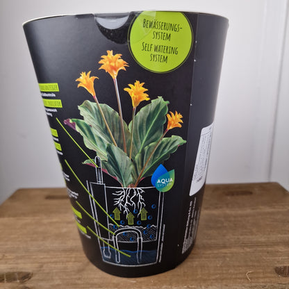 Lechuza Deltini All in One Self Watering Pot Charcoal Metalic