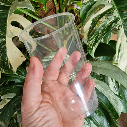 Half Pint Clear Plastic Biodegradable Cup With Holes