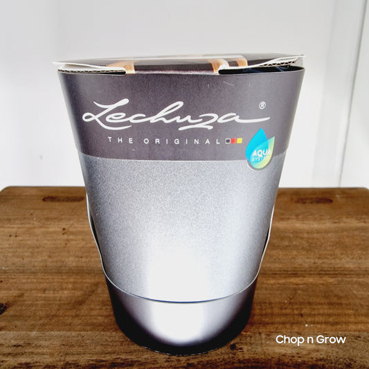 Lechuza Mini Delta Charcoal Metallic Colour Self Watering Pot